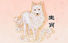 生肖狗的守护神是什么菩萨 命运发展如何