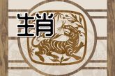 属虎什么时辰出生最好命 丑时的虎人一生衣禄不缺