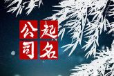 大气点的广告公司名字大全 与日俱进日新月异