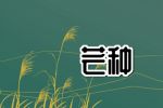 2022年芒种结婚好吗 6月6号结婚日子好不好