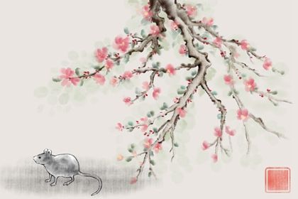 经常出轨的三个生肖女 属鼠女不专一