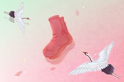 本命年的财运在哪个方位 北方和西北方