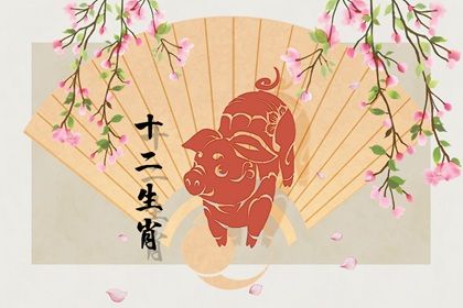 83年属猪女未来5年运势 如何解析属猪的未来运势