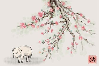 83年生肖猪2022年两喜缠身 事业成功财运旺亦有添丁进喜 83年生肖猪2022年两喜缠身 事业成功财运旺亦有添丁进喜