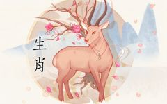 属羊女暗恋你的表现有哪些 关心你的生活