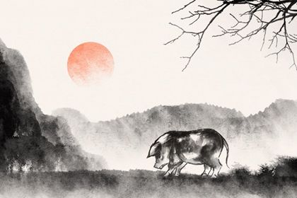 83年的属猪女今年运势怎么样 2022年属猪女的运势解析