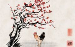 属鸡一生被什么人所害 要非常小心这几个生肖