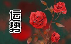 十二星座今天运势查询 2022年6月2日