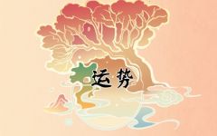 狮子座2022年8月运势详解 本月运气如何