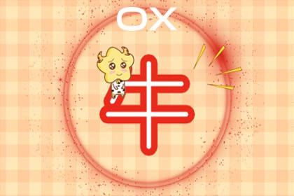 85年属牛一生两次婚姻 属牛人注意事项分析