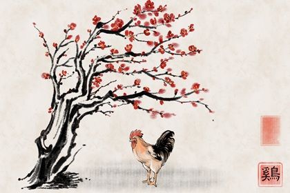 2022年的生肖鸡的桃花运视频 有什么说法