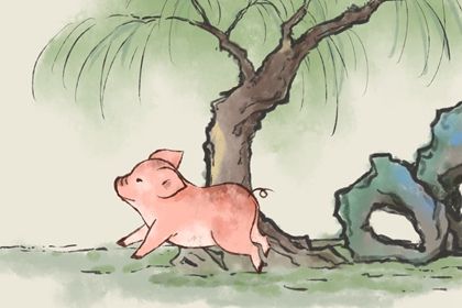 生肖猪是哪几年出生的 属猪的贵人是谁