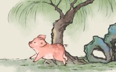 生肖猪是哪几年出生的 属猪的贵人是谁