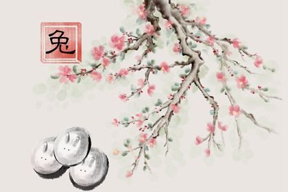 2022年68年生肖兔猴的婚姻 事业发展受到影响