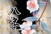 八字清秀的女人命好吗 人缘好且事业顺利