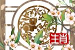 属兔人2023年运势运程解析 感情事业发展平淡