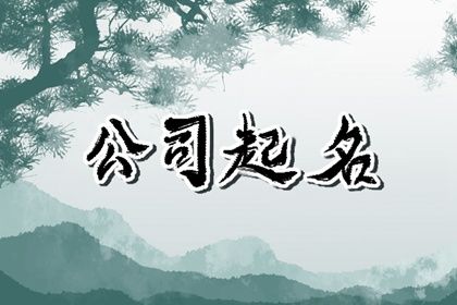 大气的商业公司名字大全 整体非常有气势