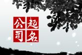大气的家居类公司名字大全 代表着尊贵
