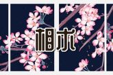 额头宽大面相 看问题长远则容易成功