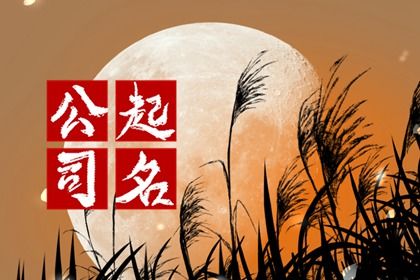 好听大气的厨具公司名字大全 著名的厨具公司名称