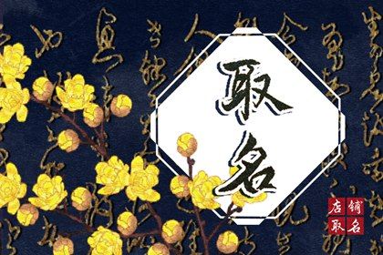 2022虎年高姓独特的名字 前程似锦的意思
