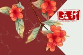 2021年五行属什么五行 纳音壁上土为金牛之命