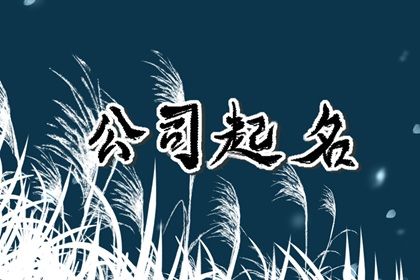 霸气的四字商贸公司名字 读来非常的顺畅