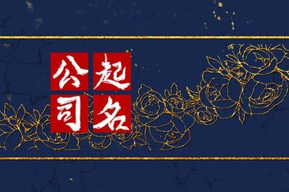 商贸公司带星的名字 福运满满起名