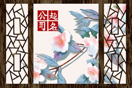 博字开头的商贸公司名字 给人一种文雅的感觉