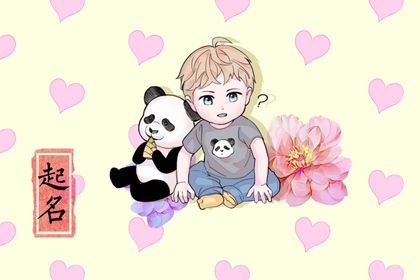 虎宝宝男孩2022年姓樊的名字 读上去如清风过隙