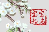 2022年出生的男宝宝取的名字 兼得文墨吉瑞之气