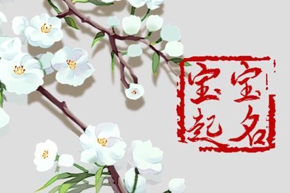 2022年出生的男宝宝取的名字 兼得文墨吉瑞之气