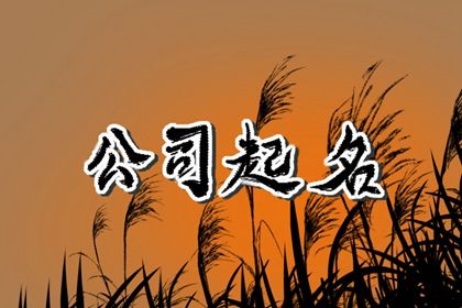 不重名的商贸公司名字 寓意有光明的前途