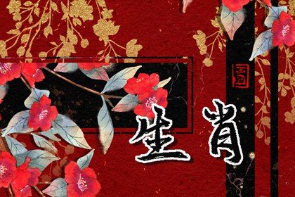 2022最悲催的4大生肖 属虎整体运势便开始下滑