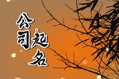 广告公司洋气的名字大全 加强企业名字的独特性