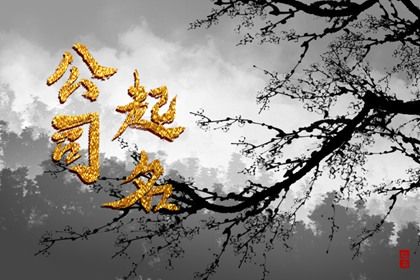 关于白酒的商贸公司名字 有创意性的起名