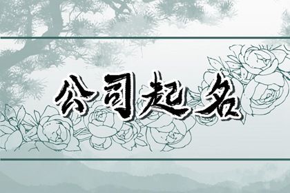 顺口大气的广告公司名字 十分正面的形象起名