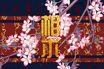什么是地包天面相 地包天的人都很丑吗