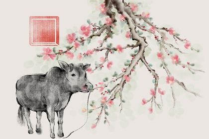 2022属牛女人的运势和财运 属牛女2022年需要注意什么