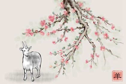 属羊人2023年全年运势详解 财运吉利且事业顺利