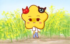 双鱼座最容易爱上的3个星座 风趣幽默的双子座