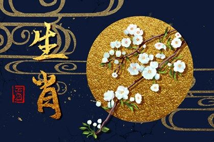 2024年财运最好的五大生肖 属狗人的运势比较旺
