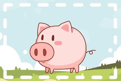生肖猪2023年感情运势 整体运势表现得还不错