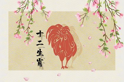2022年属鸡的全年运势女性 事业发展不错但财运漏财严重