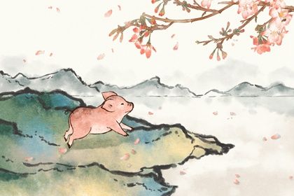 属猪2022年全年运势详解 感情比较顺利但健康两极分化