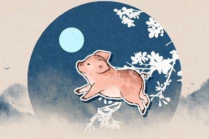 1995年属猪的在2022年的命运 事业受贵人提携且正偏财都不错