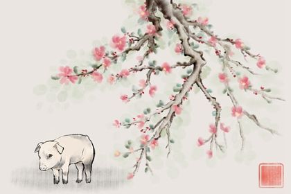 2023年是哪里的水命 农历几月出生最好