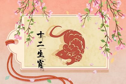 84年的鼠今年财运如何 财运表现一般且花销不是很大 84年的鼠今年财运如何 财运表现一般且花销不是很大