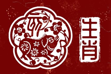 属猪适合住几楼吉利 了解五行和楼层的关系