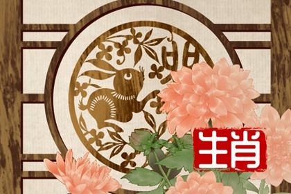 生肖兔2023年运势及每月运势 财运比较低迷